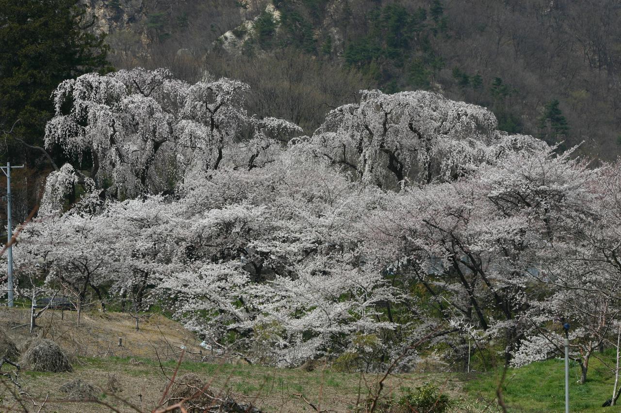 Shosenkaku Hotel Nagano Buitenkant foto